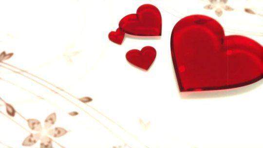 kamerzysta jelenia góra