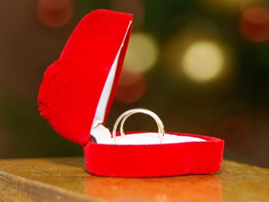 kamerzysta jelenia góra