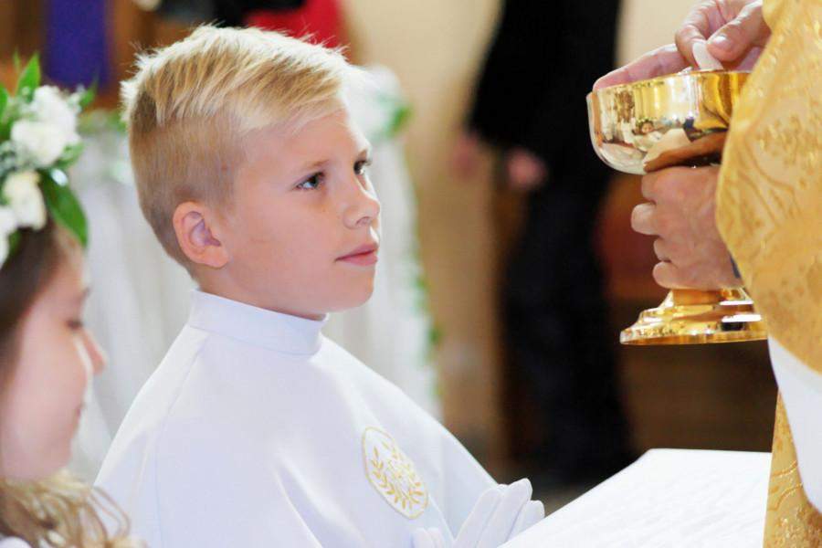 kamerzysta jelenia góra